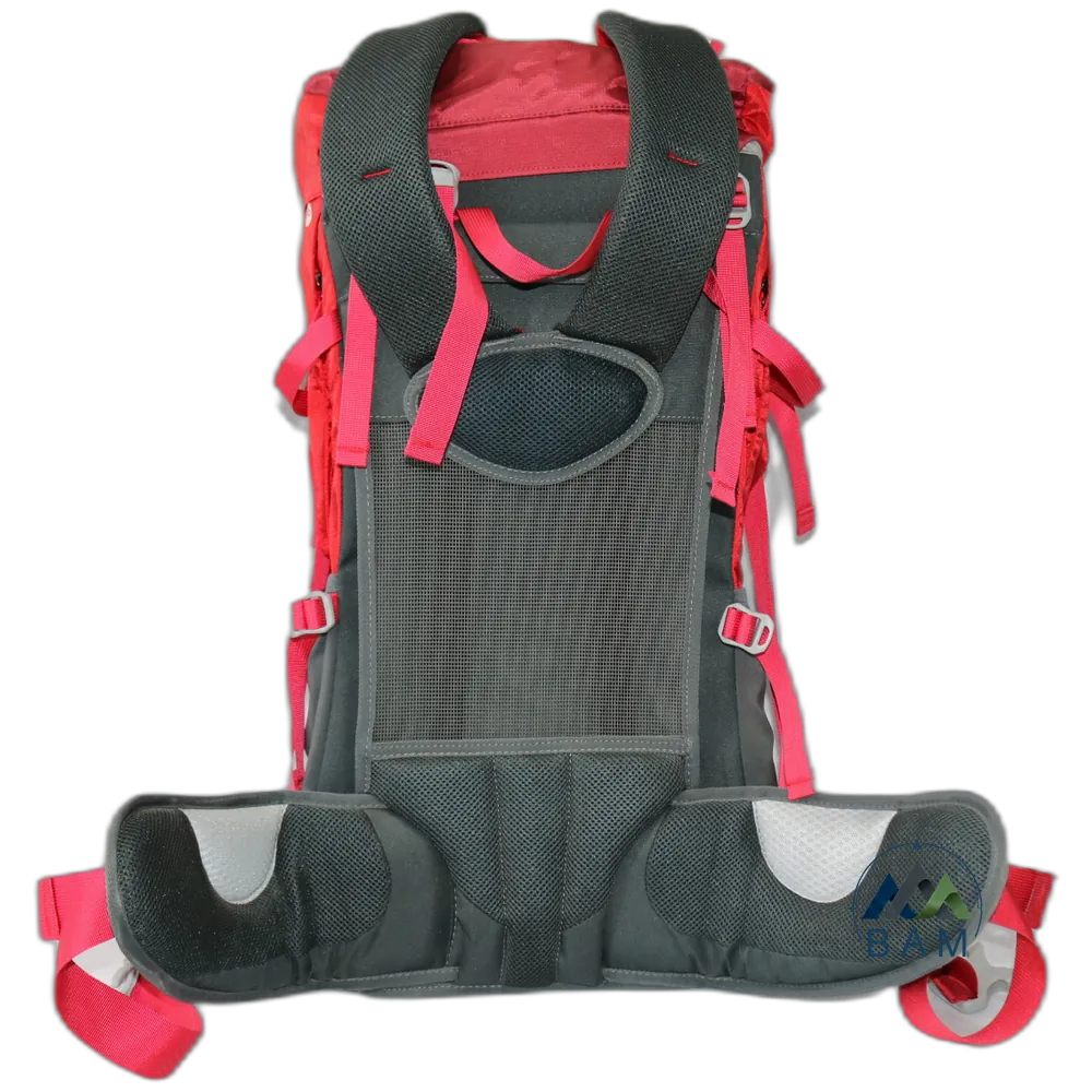 کوله پشتی Deuter 65L